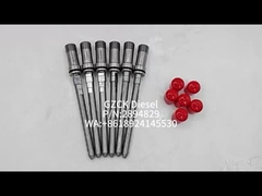 Verbinding voor brandstofinjector 2894829