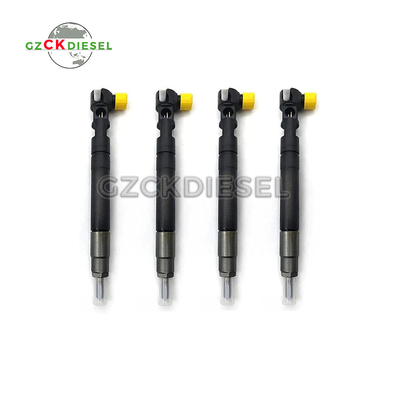 Nieuwe brandstofinjector EJBR00301D A6710170121 voor Delphi-motor