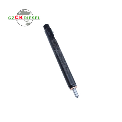 Dieselbrandstofinjector EJBR04001D 166009384R voor Delphi-motor