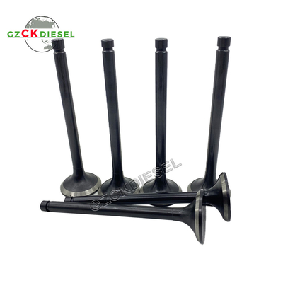 Uitlaatklep ME051073 ME051697 Inlaatklep ME051063 voor Mitsubishi 6D22 6D22T Motor