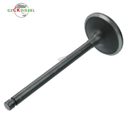 KLEP INLAAT 32A04-20100 32A0420100 voor S4S Motor